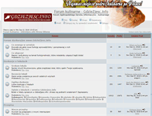 Tablet Screenshot of forum.gdziezjesc.info